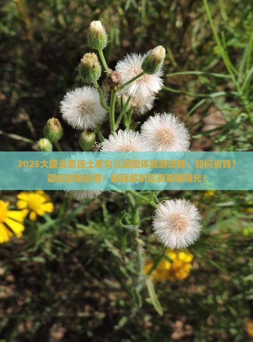 大理去恩施土家女儿城团体旅游