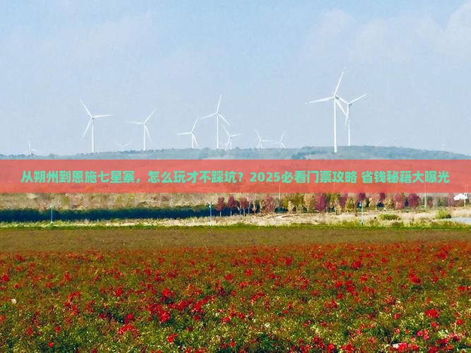 朔州去恩施七星寨门票