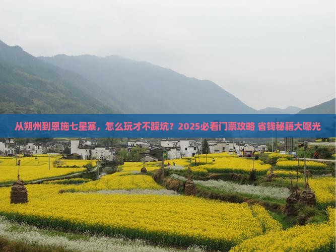 朔州去恩施七星寨门票