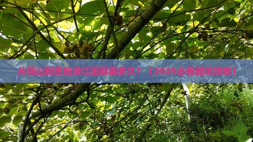 保山到恩施清江画廊旅游 保山到恩施清江画廊旅游