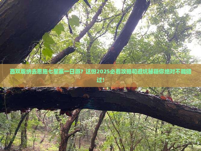 西双版纳去恩施七星寨一日