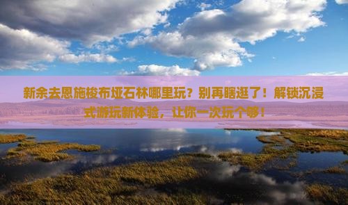 新余去恩施梭布垭石林哪里玩