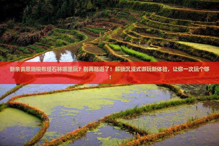 新余去恩施梭布垭石林哪里玩
