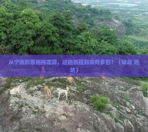 宁德到恩施腾龙洞旅游