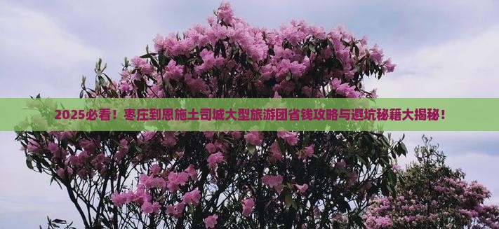 枣庄到恩施土司城大型旅游团