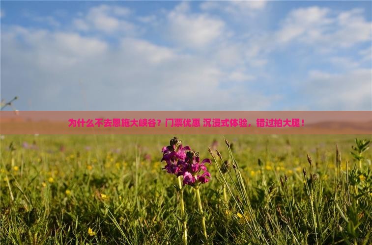 延安去恩施大峡谷门票