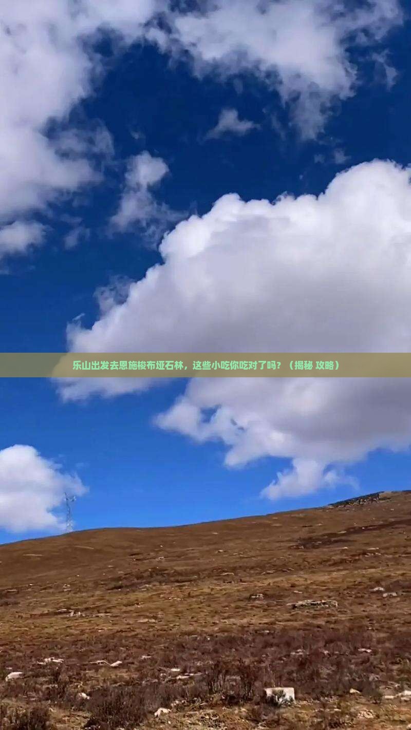 乐山去恩施梭布垭石林旅游小吃