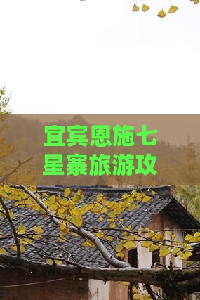 宜宾去恩施七星寨自由团