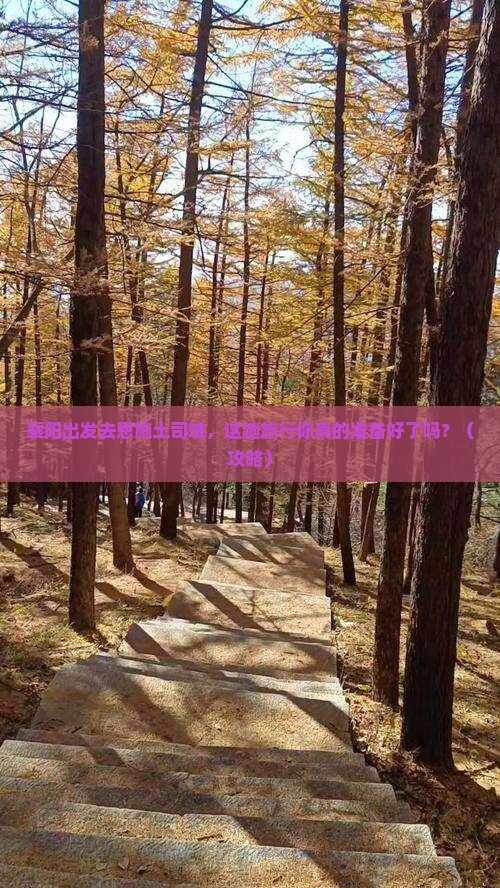 襄阳去恩施土司城旅游