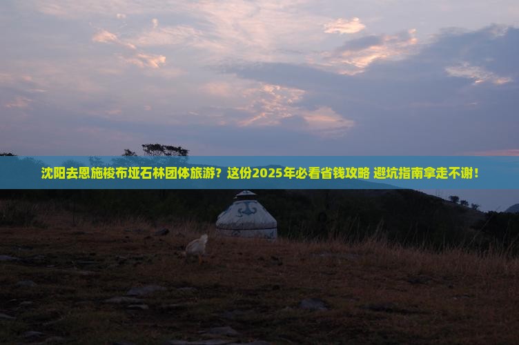 沈阳去恩施梭布垭石林团体旅游