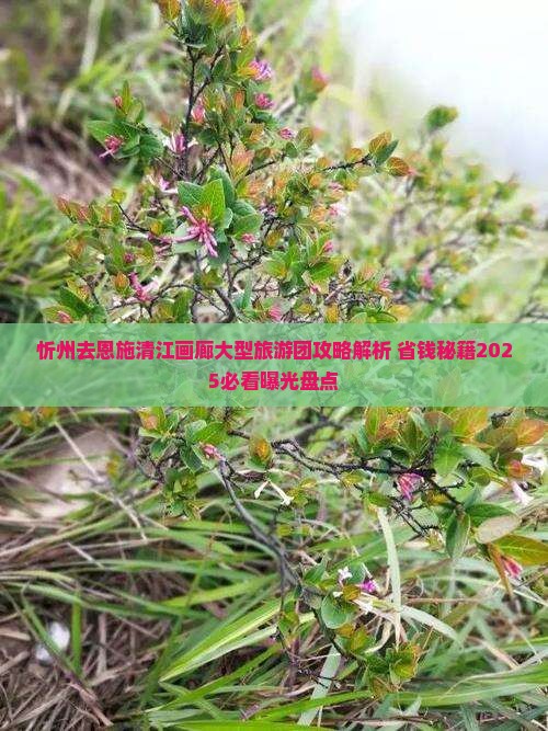 忻州去恩施清江画廊大型旅游团