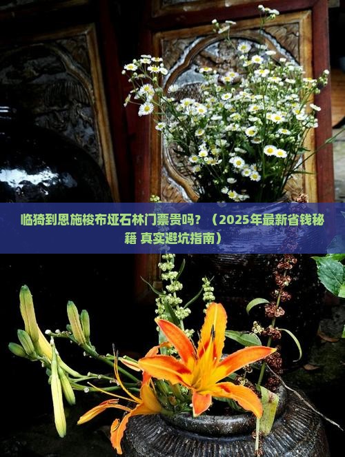 临猗到恩施梭布垭石林门票