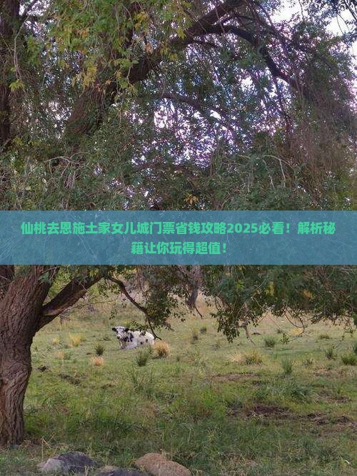 仙桃去恩施土家女儿城门票