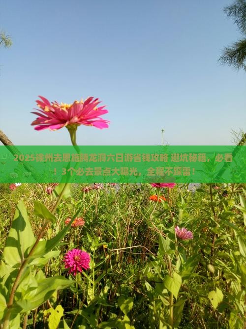 徐州去恩施腾龙洞六日游