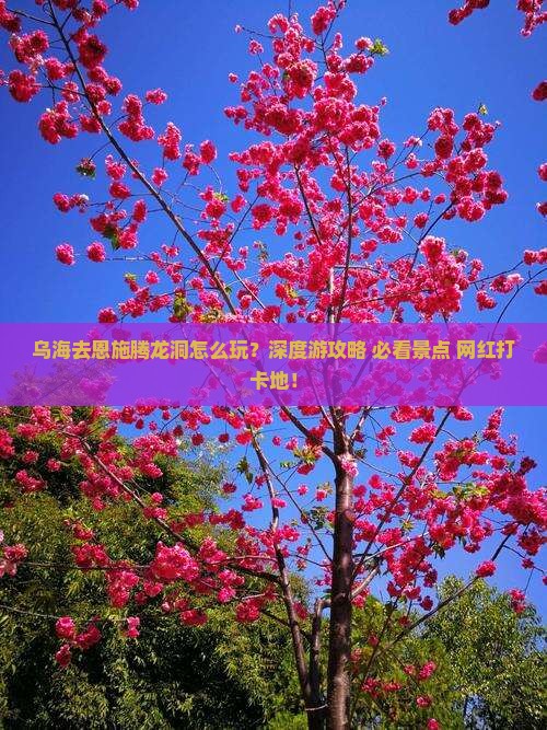 乌海去恩施腾龙洞旅行社
