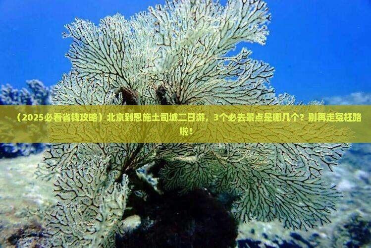 北京到恩施土司城二日游