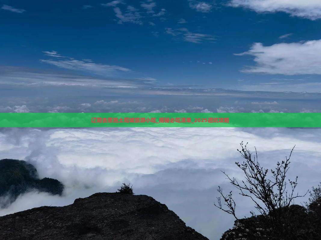 辽阳去恩施土司城旅游小吃