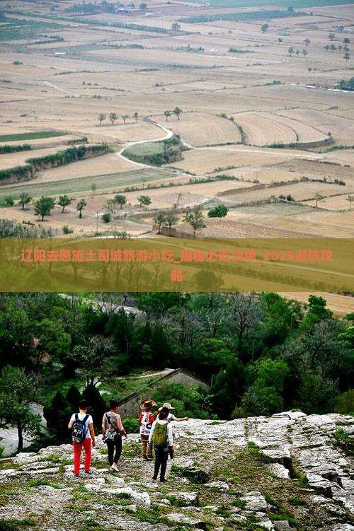 辽阳去恩施土司城旅游小吃