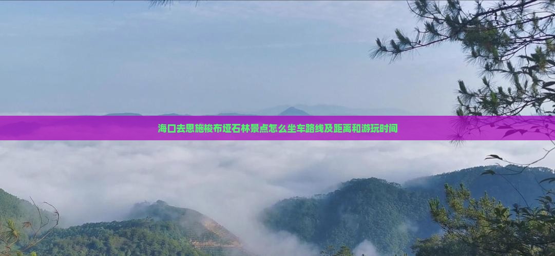 海口去恩施梭布垭石林景点