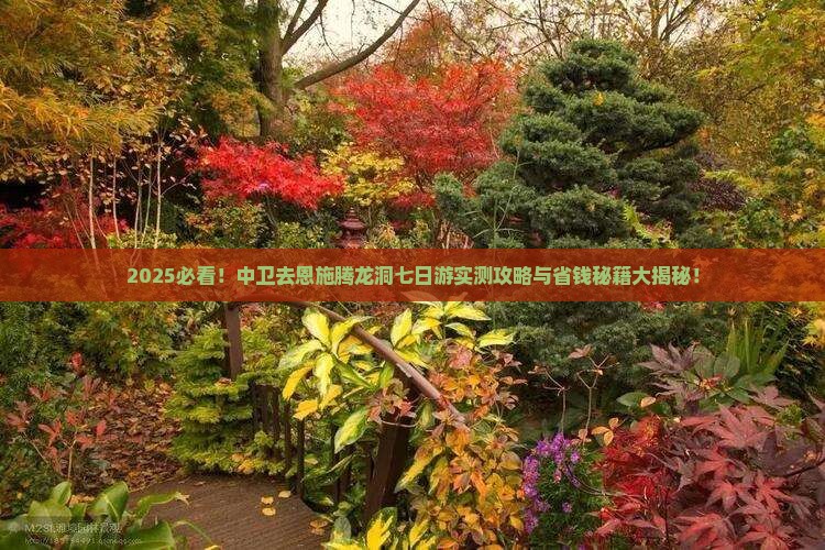 中卫去恩施腾龙洞七日游