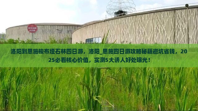 洛阳到恩施梭布垭石林四日游