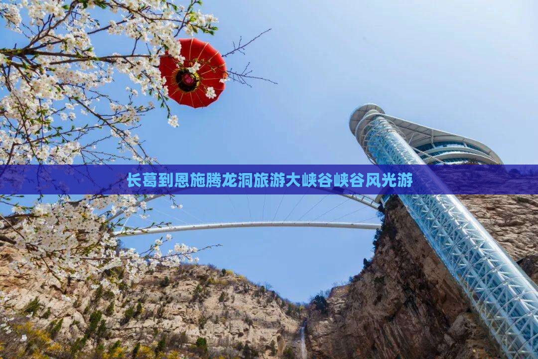 长葛到恩施腾龙洞大型旅游团