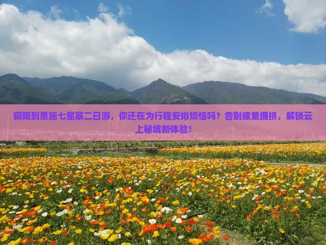 铜陵到恩施七星寨二日游