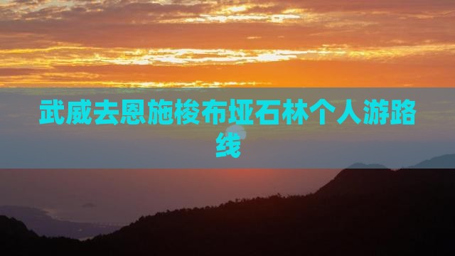 武威去恩施梭布垭石林个人游