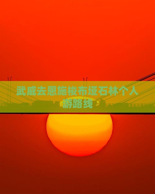 武威去恩施梭布垭石林个人游