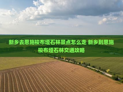 新乡去恩施梭布垭石林景点