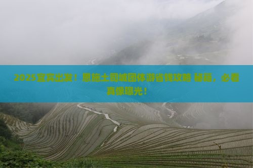 宜宾到恩施土司城团体旅游