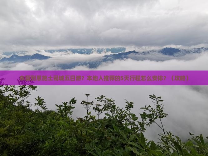 东营到恩施土司城五日游
