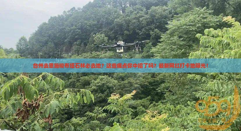 台州去恩施梭布垭石林必去地