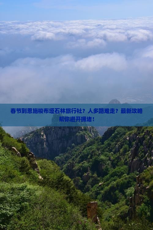 春节到恩施梭布垭石林旅行社