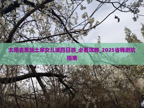 太原去恩施土家女儿城四日游