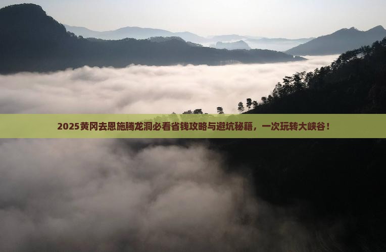 黄冈去恩施腾龙洞旅行社