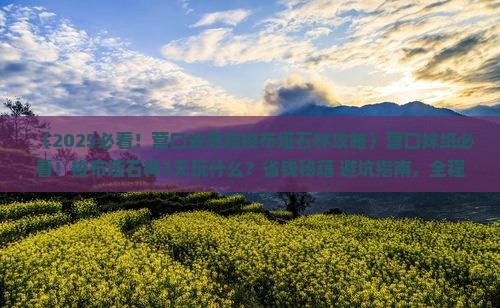 营口去恩施梭布垭石林必去地