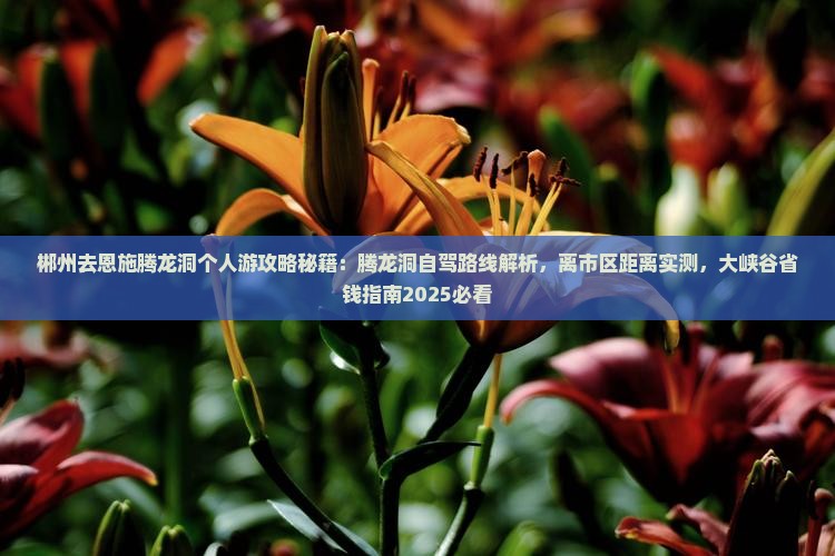 郴州去恩施腾龙洞个人游