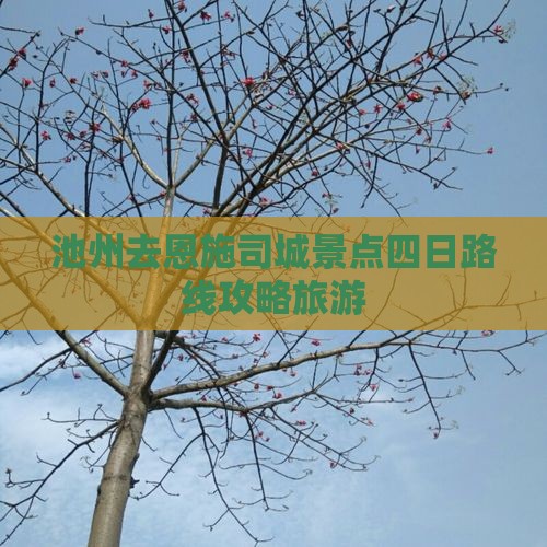 池州去恩施土司城四日游