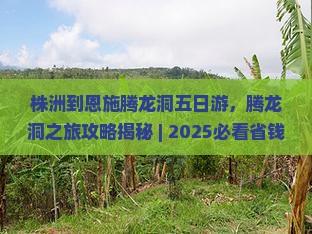 株洲到恩施腾龙洞五日游