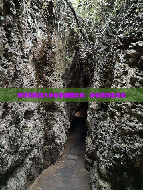 菏泽到恩施大峡谷大型旅游团