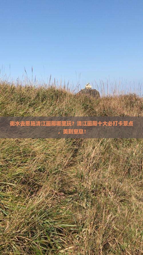 衡水去恩施清江画廊哪里玩