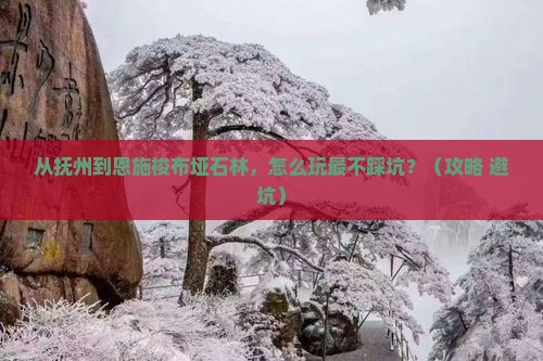 抚州到恩施梭布垭石林景点