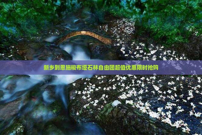 新乡到恩施梭布垭石林自由团