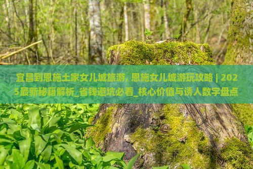 宜昌到恩施土家女儿城旅游