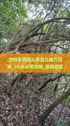 吉林去恩施土家女儿城六日游