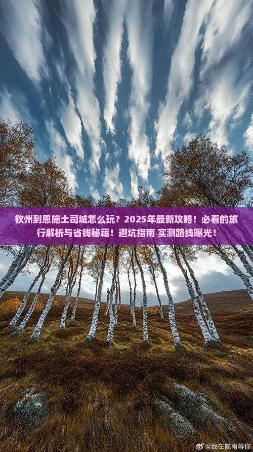 钦州到恩施土司城旅行社