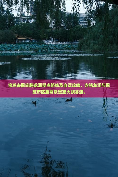 宝鸡去恩施腾龙洞景点