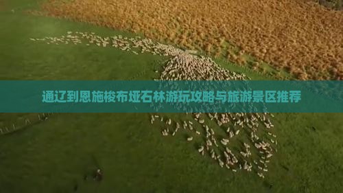 通辽市去恩施梭布垭石林哪里玩