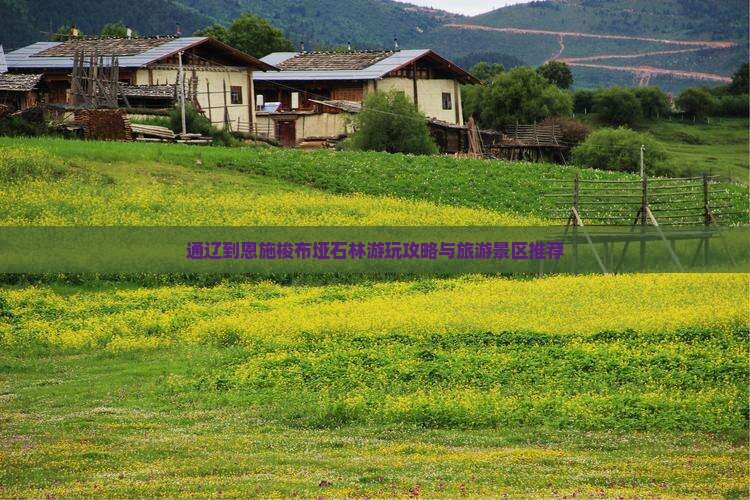 通辽市去恩施梭布垭石林哪里玩